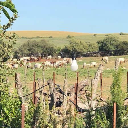 Alojamiento Rural El Soldao Medina-Sidonia Eksteriør billede