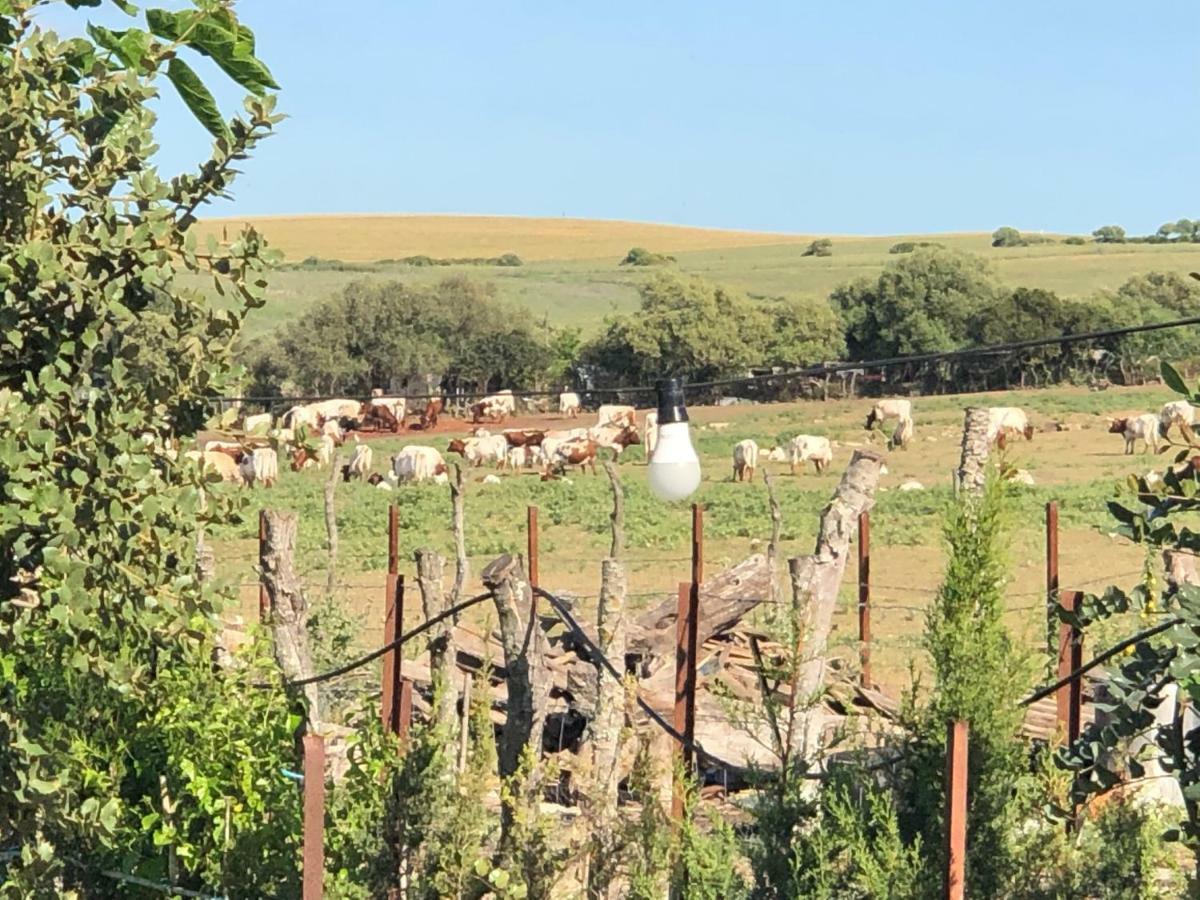 Alojamiento Rural El Soldao Medina-Sidonia Eksteriør billede